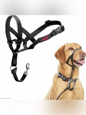 Halti Headcollar - Stop Your Dog Pulling on the Leash. Adjustable, Reflective